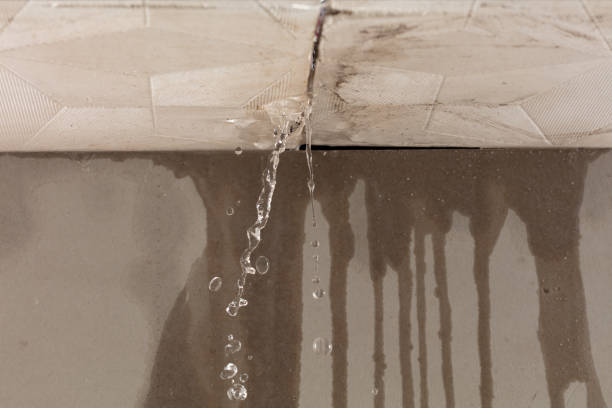 Professional Sewage Cleanup technician working in Frisco, TX
